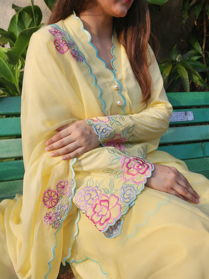 Embroidered Short kurta with Farsi salwar and dupatta